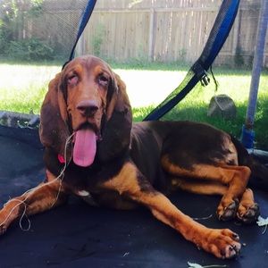 Meet your Posher, Denise